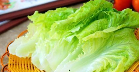 茄瓜生菜怎么吃,茄瓜生菜的多彩食法探索