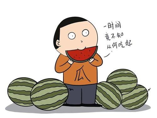 带你吃瓜奇怪成语,带你吃瓜,领略成语中的趣味与智慧
