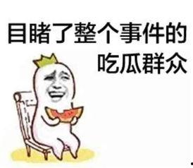星吃瓜头像,揭秘娱乐圈幕后真相的神秘面孔