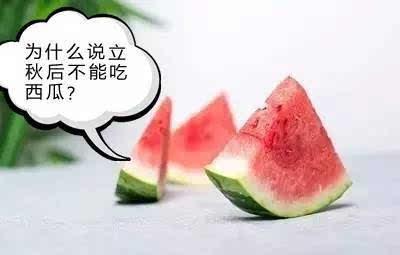 天气热了吃瓜,清凉一“瓜”解暑趣