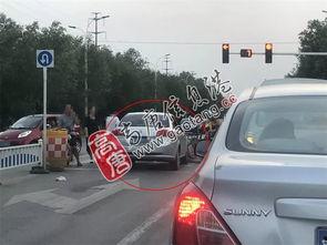 路口事故吃瓜狗,吃瓜狗的意外奇遇