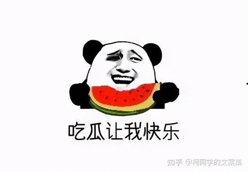 吃贝贝瓜文案搞笑,笑果满满,一口咬下,欢乐满溢!”