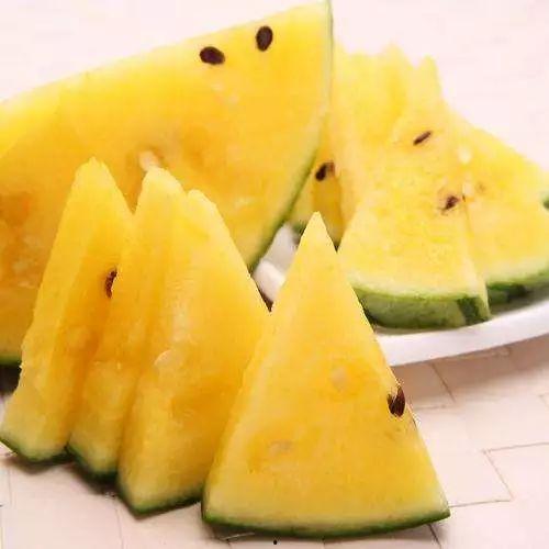 吃瓜好与坏,揭秘吃瓜好与坏的真相