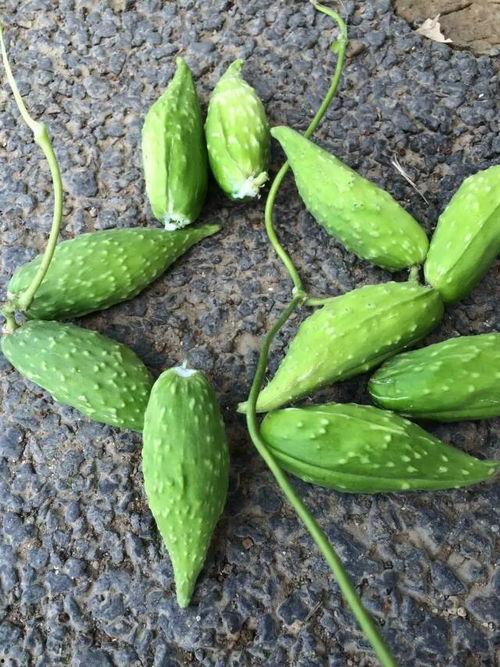 晚上怀孕吃瓜好吗,吃瓜真的好吗？揭秘孕期饮食禁忌